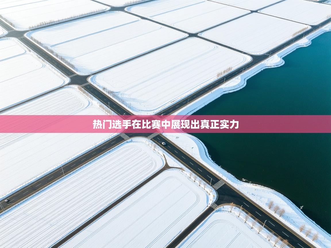 热门选手在比赛中展现出真正实力 第2张